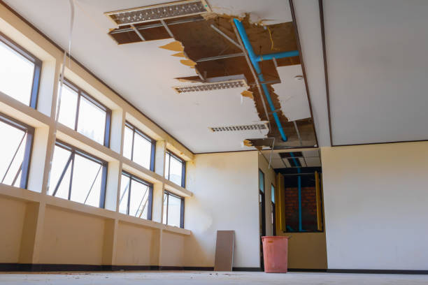 Best Flood restoration services  in Duluth, GA