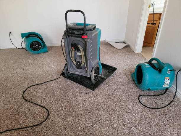 Best Local water damage restoration  in Duluth, GA