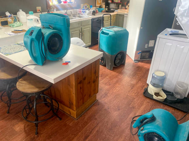 Best Professional water damage repair  in Duluth, GA