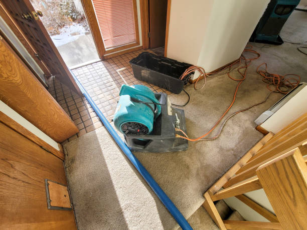 Best Flood restoration services  in Duluth, GA