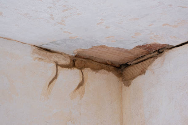 Best Water damage restoration process  in Duluth, GA