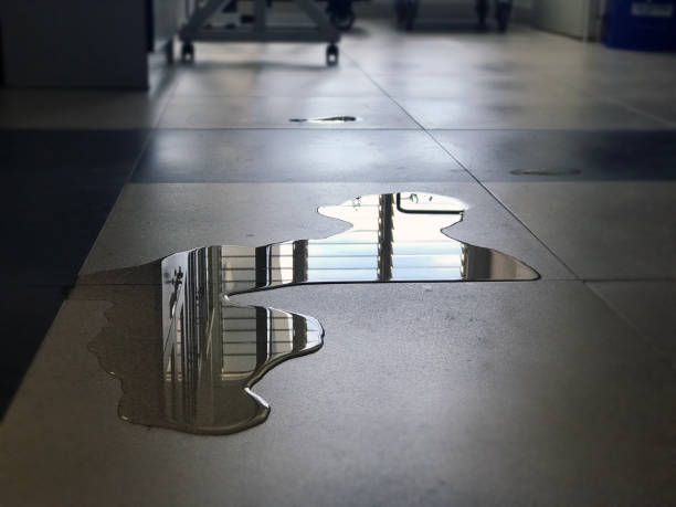 Best Water damage cleanup near me  in Duluth, GA
