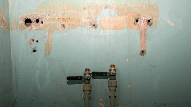 Best Basement water damage restoration  in Duluth, GA