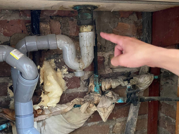 Best Water damage contractors near me  in Duluth, GA